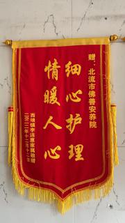 獲得細(xì)心護(hù)理 情暖人心錦旗
