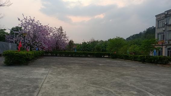 佛善安養(yǎng)院前院西面操場