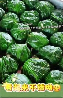 做芥菜包啦！